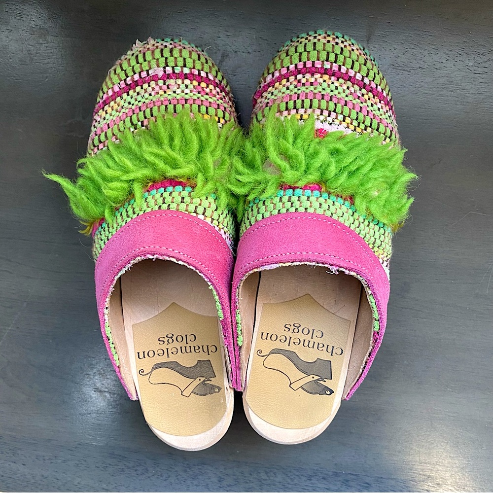 Chameleon Clogs size 6